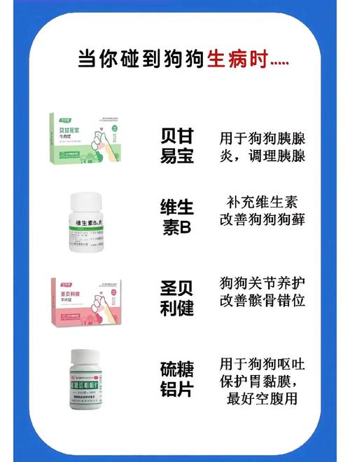 狗狗感冒咳嗽吃什么药好的快?