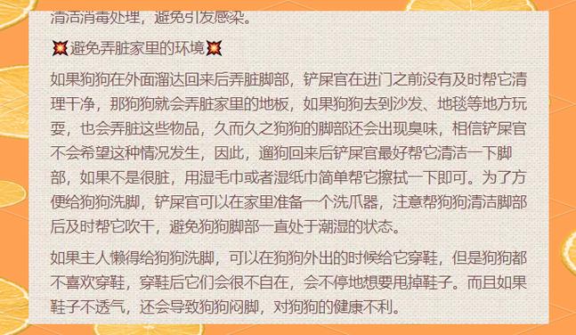 为什么给狗狗洗脚