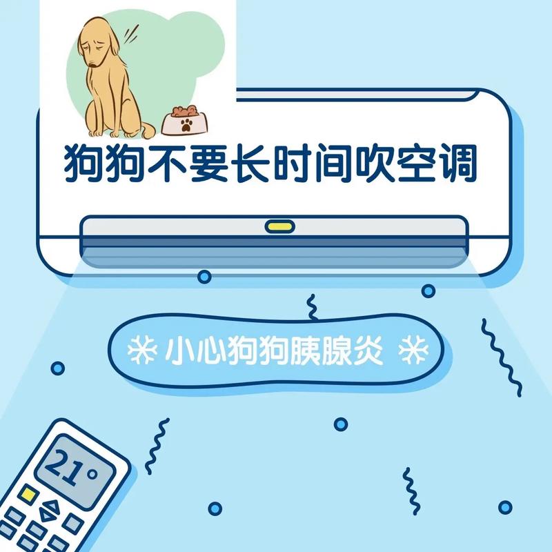 未满月小狗夏天能吹空调吗