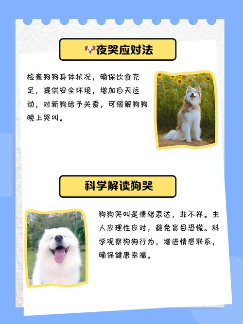 狗狗哭了代表什么预兆