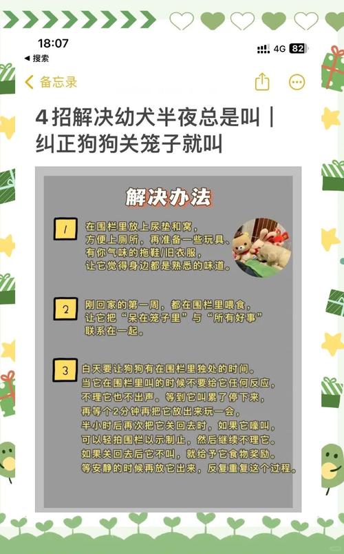 4个月的小狗狗晚上总叫怎么办?