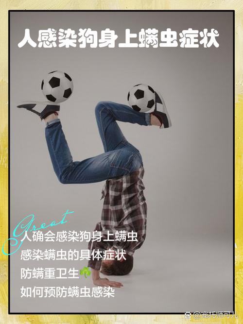 狗狗身上的螨虫传染人吗