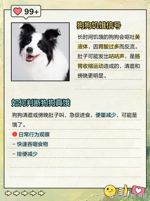 狗狗过度饥饿的表现