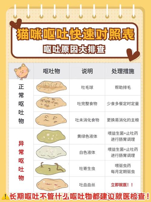 猫咪呕吐未消化的猫粮是怎么回事?