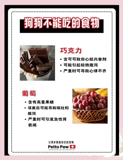 狗狗为什么不能吃抹茶