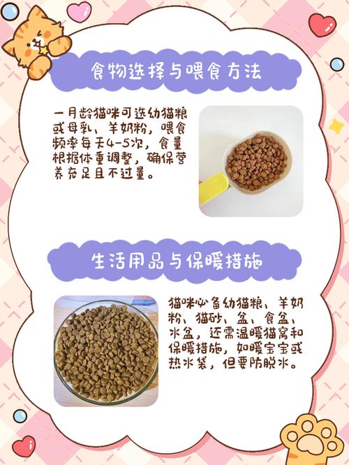 一个多月的猫怎么样喂养比较好