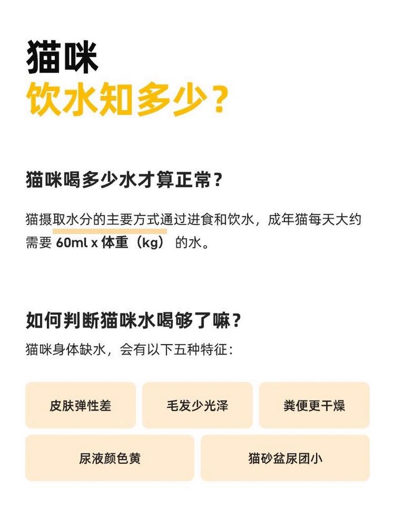 猫咪每天喝多少毫升水