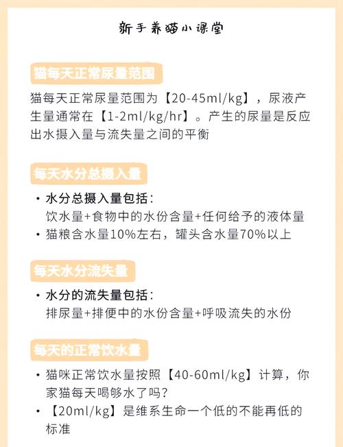 猫咪一天要喝多少水