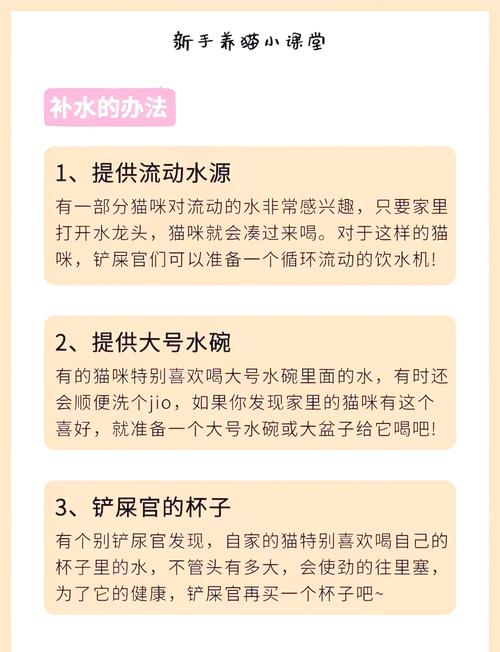 猫咪一天喝多少水正常