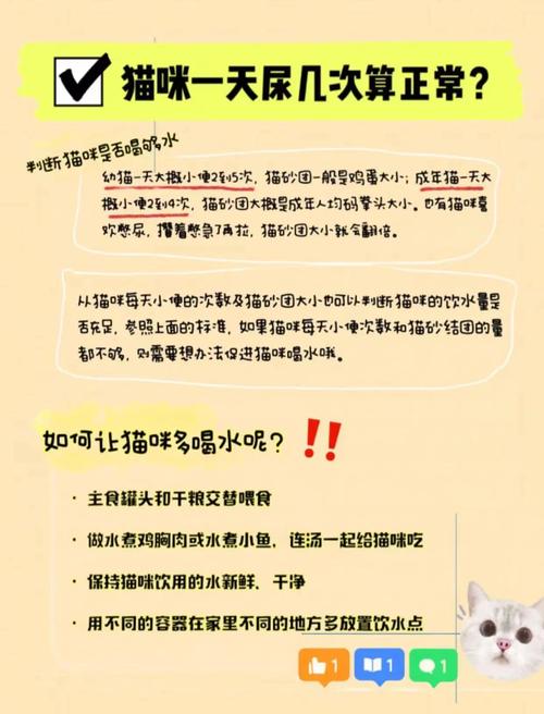 猫咪一天喝水量