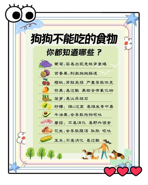 狗狗癫疯病发作怎么处理