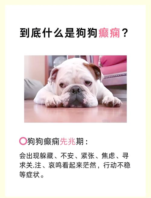 狗狗癫痫能治好吗?