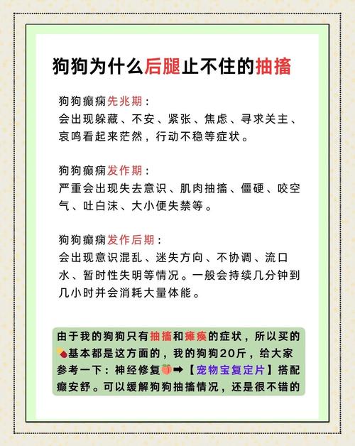 狗狗癫疯怎么控制