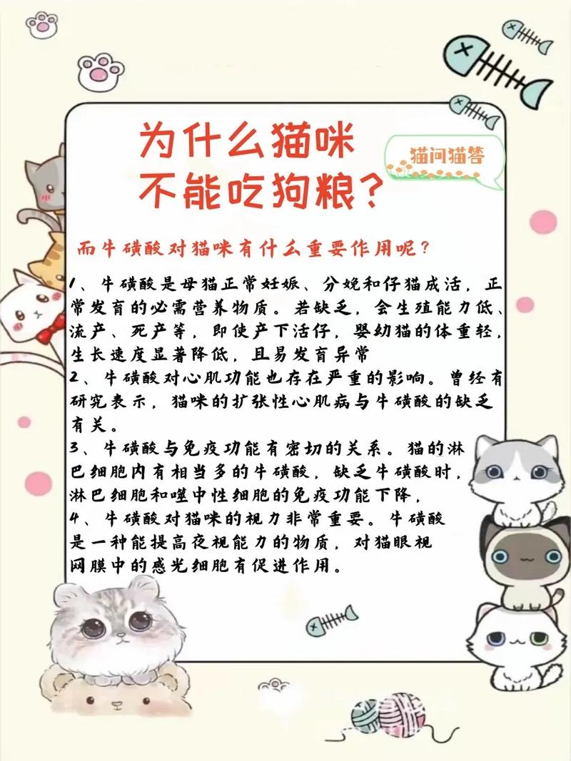 猫为什么不能吃狗粮