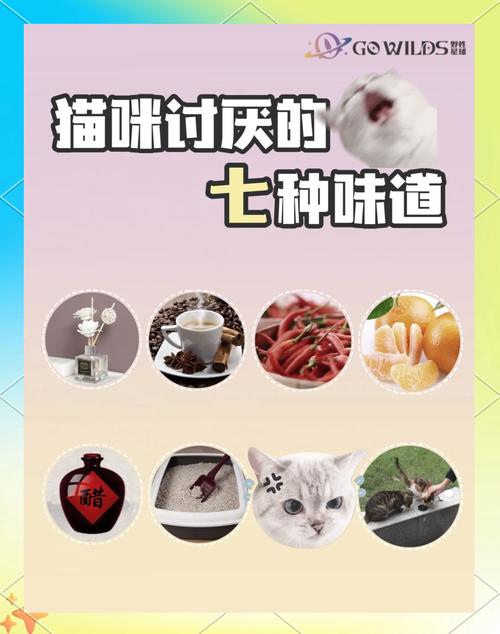猫咪讨厌什么味道?