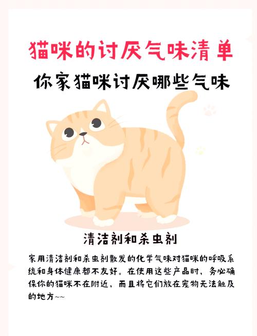 猫咪不喜欢的味道都有这些,你知道吗?