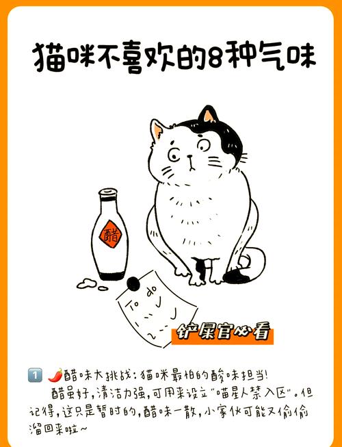 猫咪不喜欢什么气味?