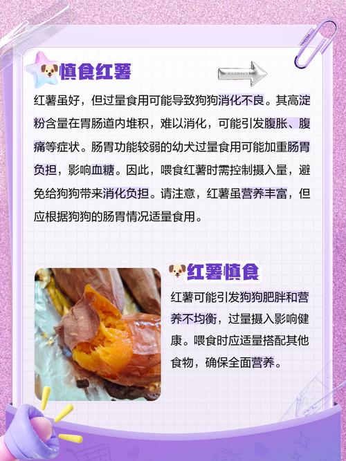 狗吃红薯的8大忌