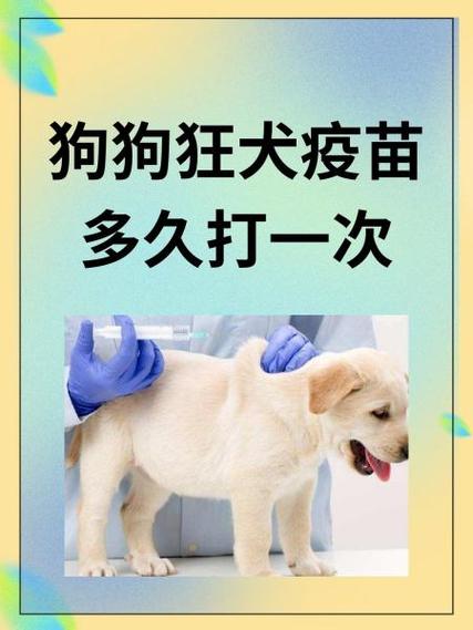 狗狗狂犬疫苗需要打几针?