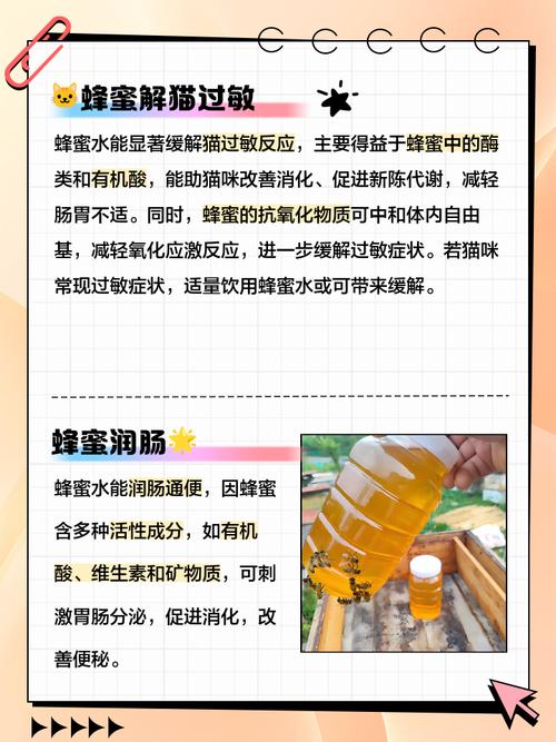 猫咪把蜜蜂吃掉了会出事吗