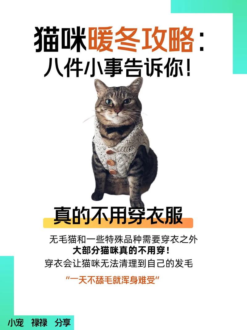 猫咪在10度左右的屋里过夜会冻死吗?
