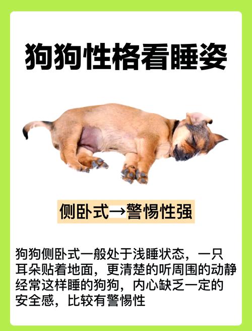 狗狗没精神,不吃不喝,整天睡觉,耳朵、脚冰凉,这是怎么回事