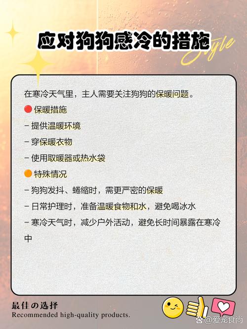 为什么狗狗耳朵冰凉的呢怎么回事