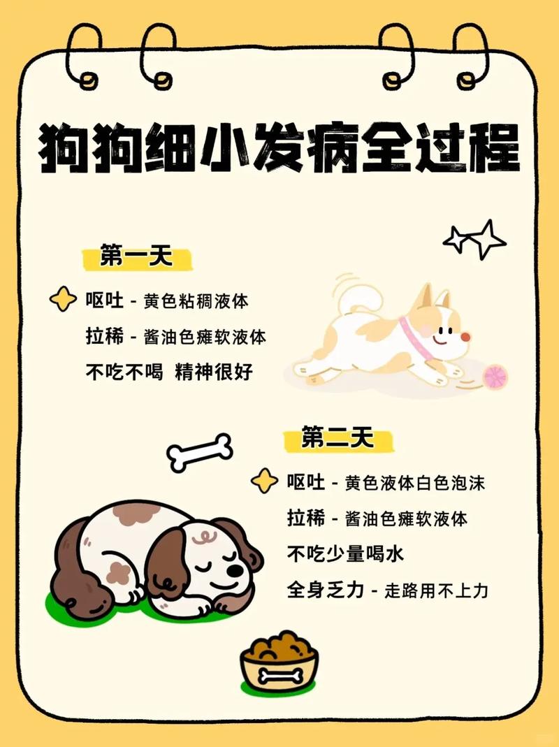 狗狗为什么会得细小