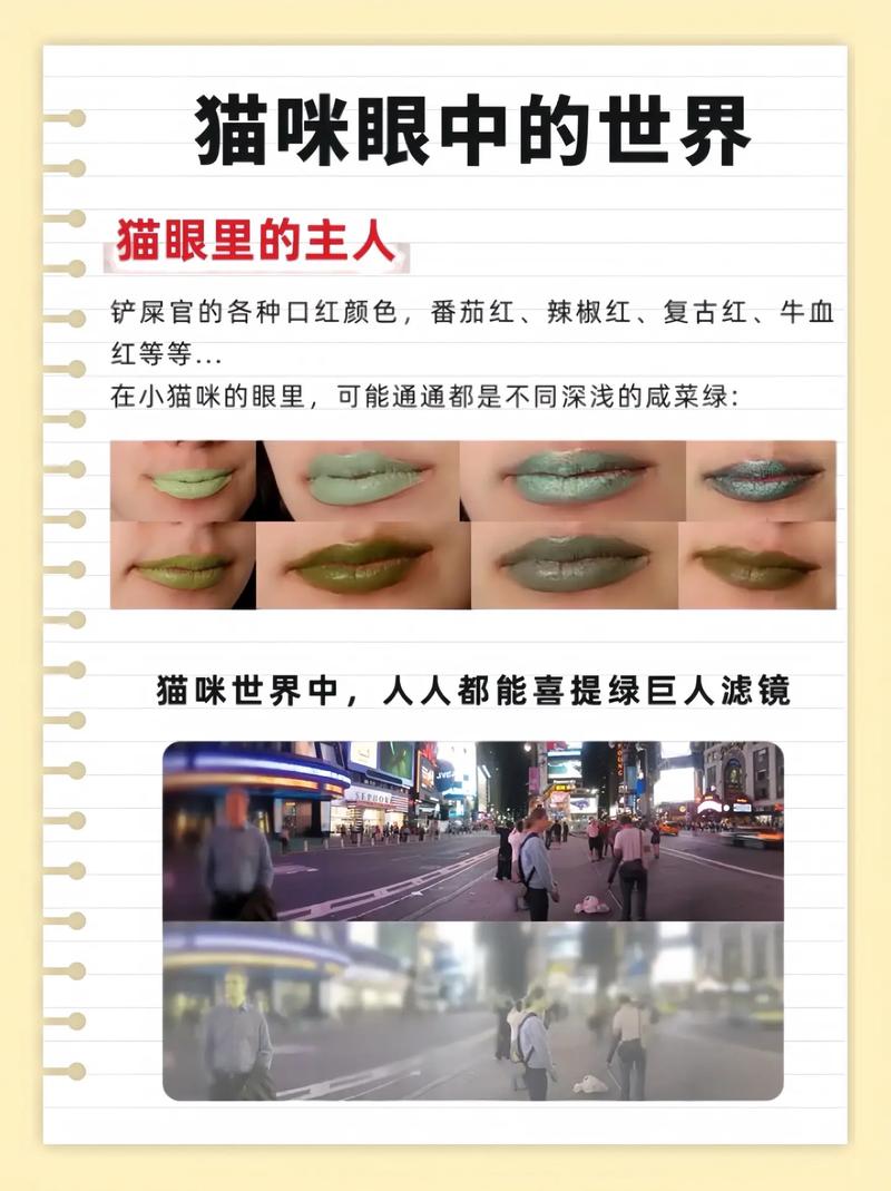 猫看见什么颜色害怕