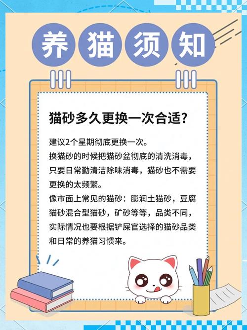 小猫猫砂多久换一次