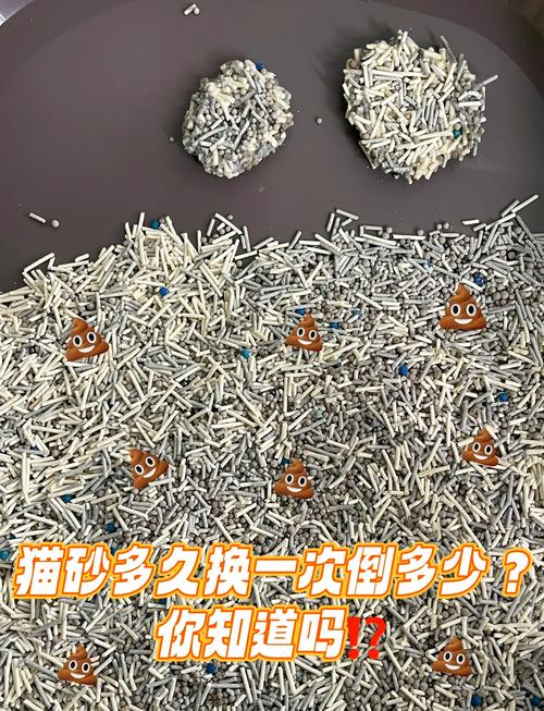 猫砂多久换一次需要全部倒掉吗