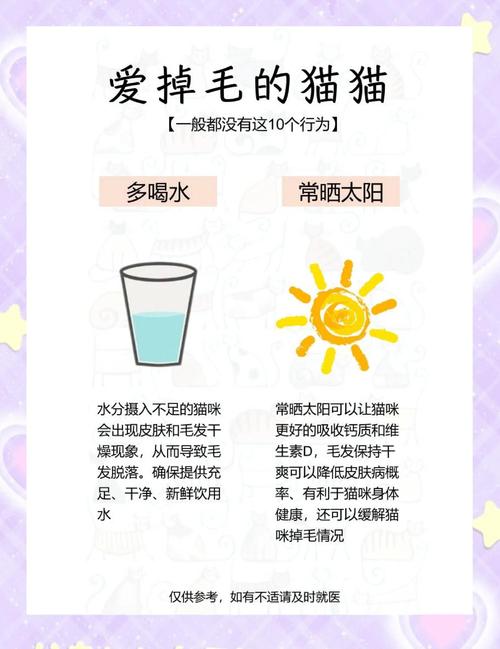 怎么样养猫不掉毛?