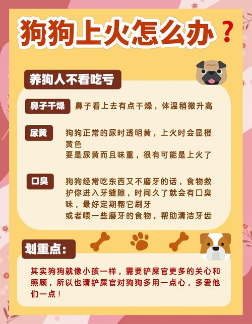 火车上可以带狗吗