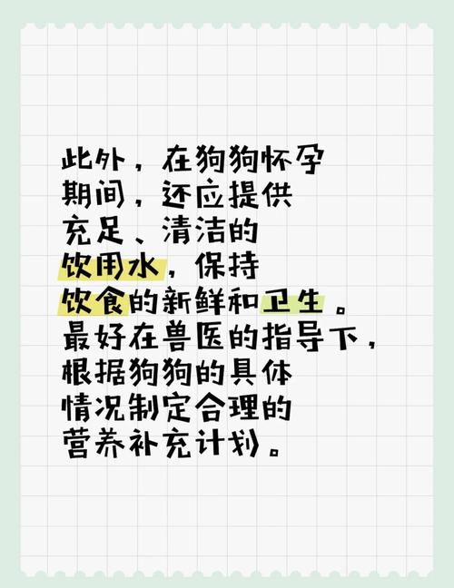 狗狗怀孕的时候应该吃什么?