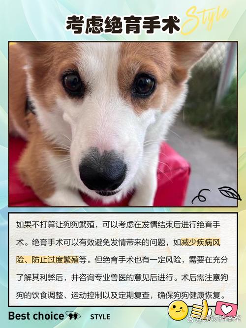 发了情的狗狗怎么处理