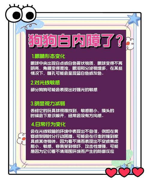 老年犬得了白内障怎么办