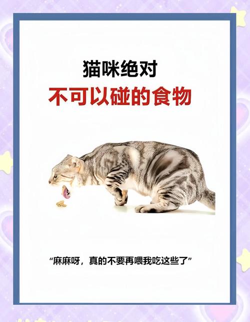 小猫咪可以吃的水果和蔬菜有什么