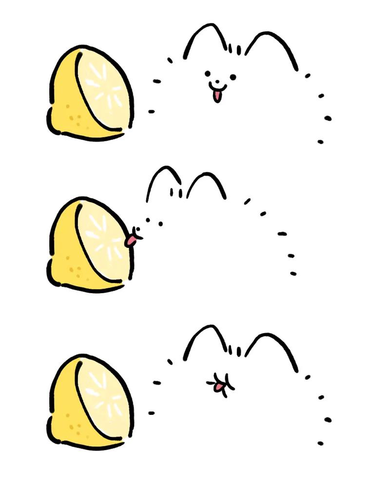 狗吃了柠檬怎么办