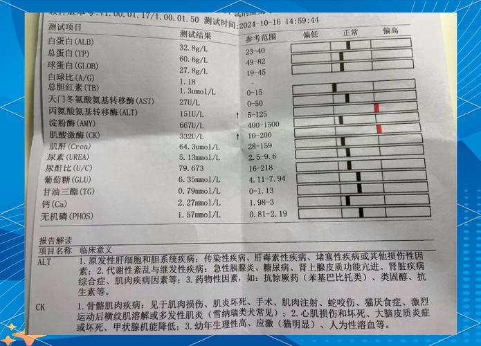 狗狗crp84.6严重吗