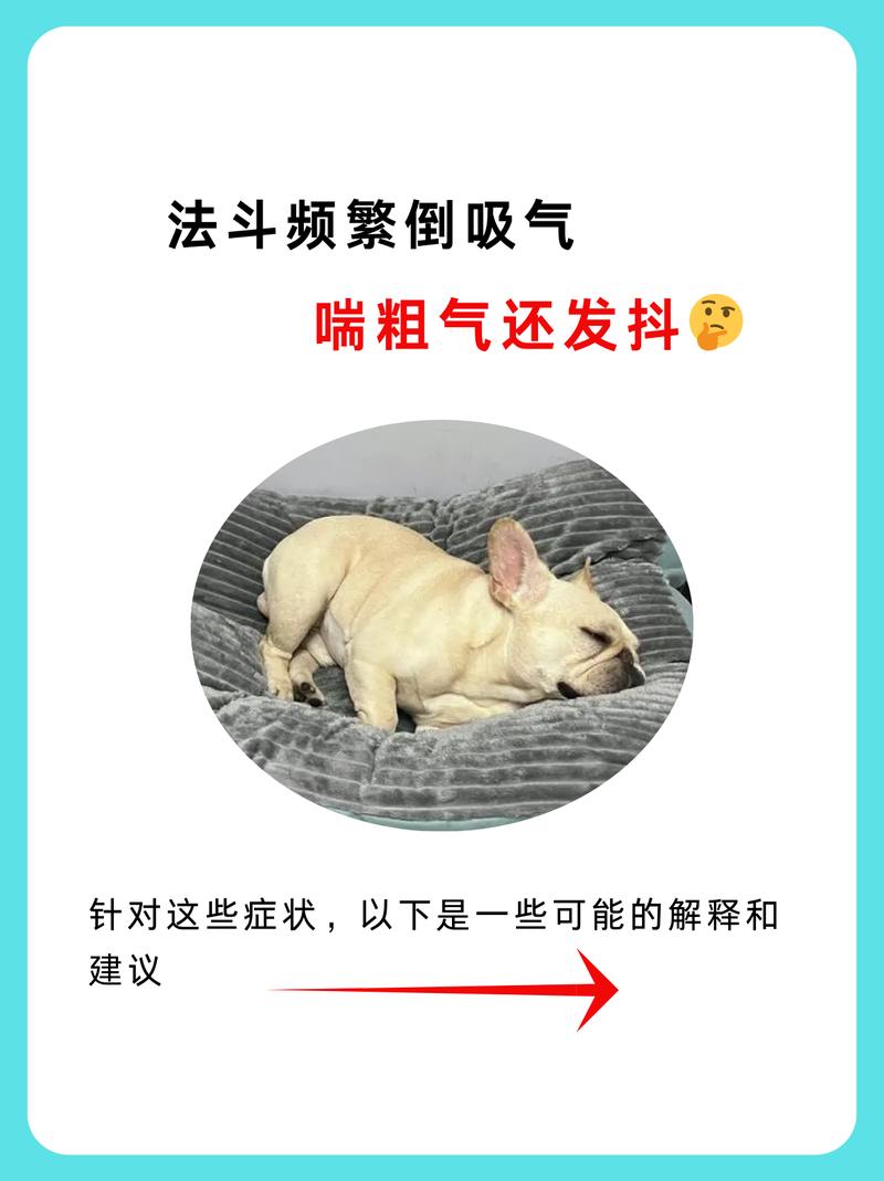 狗狗为什么吸气时发抖的厉害