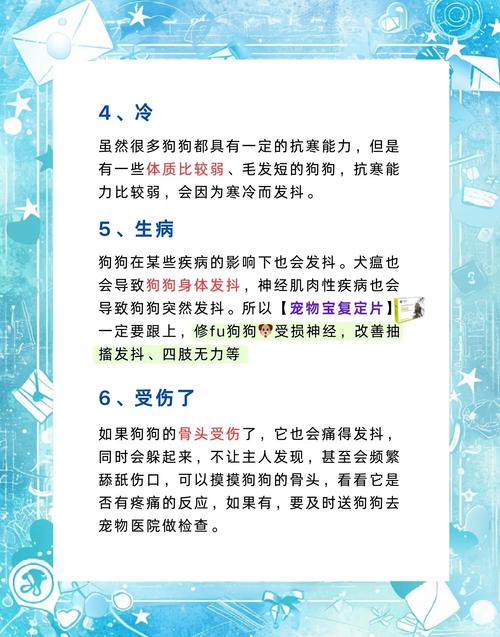 狗狗一阵一阵的发抖一直趴在地上什么原因