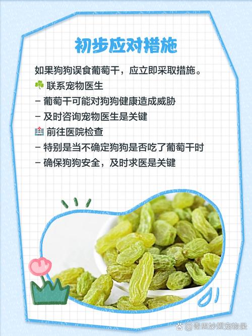 不小心给狗狗吃了葡萄干怎么办