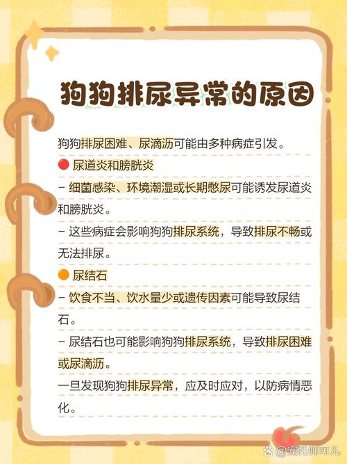 狗狗尿不出来每次几滴还不吃车西会死吗