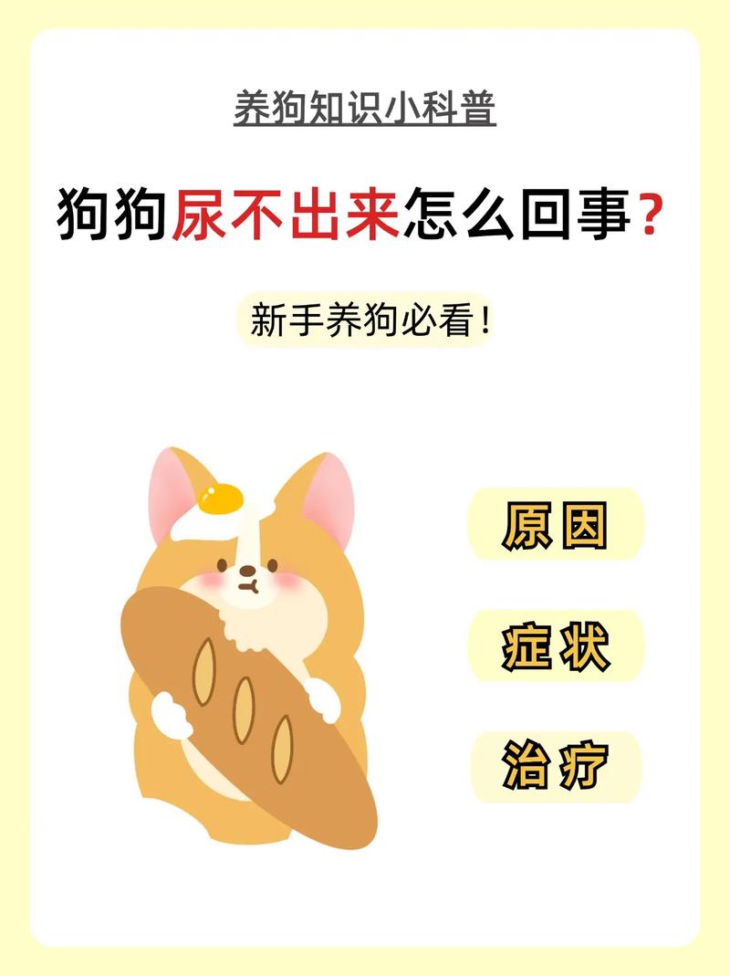 小狗想尿又尿不出来怎么回事儿