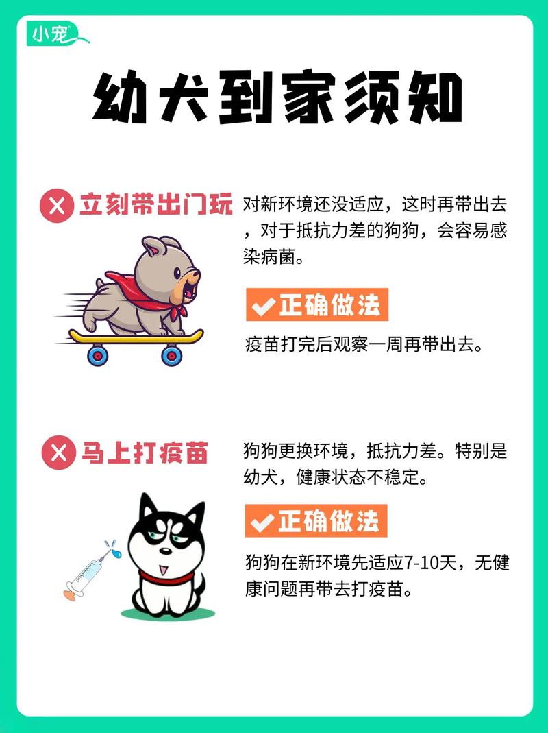 狗刚生完小狗应该吃什么