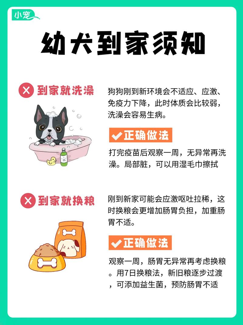 狗生完小狗要注意什么