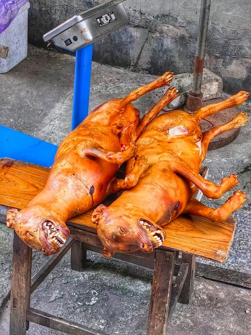 狗狗能不能吃生猪皮