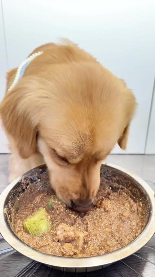 狗狗为什么不吃猪皮