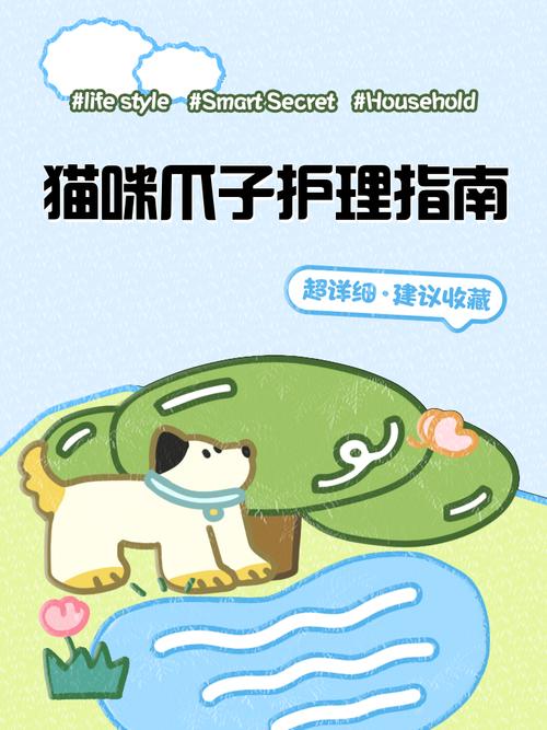 如何为猫咪足部做护理?