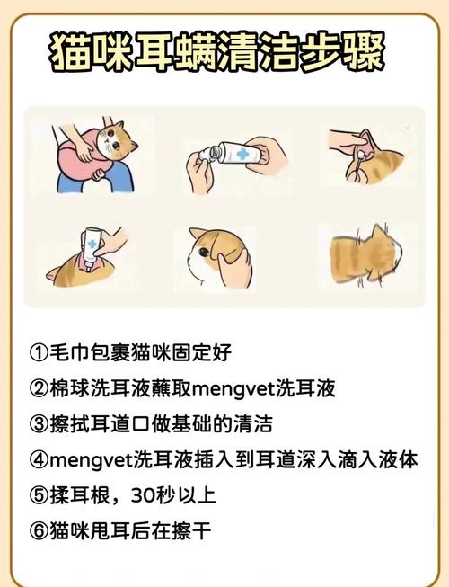 猫耳朵脏和耳螨的区别,猫咪耳朵脏就是耳螨么?